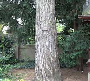 Zoologischer Stadtgarten