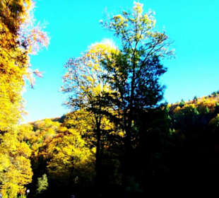 Richtung Weidmannsgesees