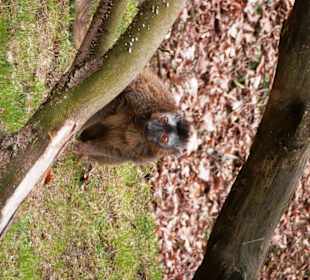 ZOO Jihlava