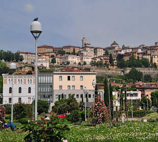 Blick auf die Altstadt