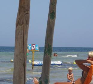 Strand in Skanes