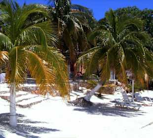 Katamaran-Ausflug z.Schnorcheln a.d.Jungfraueninse