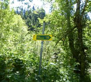 Eindrücke von unserer Wanderung am Eckbauer