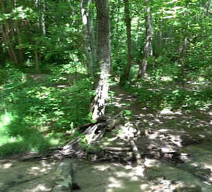 Wiesaztal Gönningen