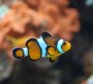 Zoo Warszawa