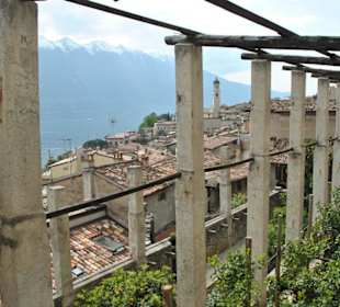 La Limonaia del Castèl