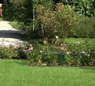 Botanischer Garten München