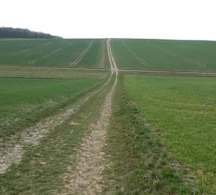 Eindrücke von unserer Wanderung Schalksbergweg