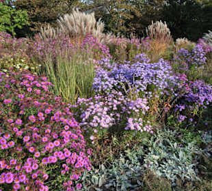 Rundgang durch das herbstliche "Planten un Blomen"