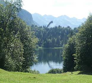 Wanderung vom Söllereck zum Freibergsee