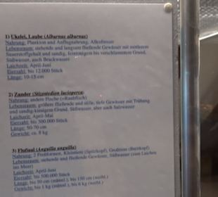 Natur- und Jagdmuseum