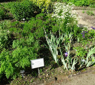 Der Bremer Botanische Garten im Mai