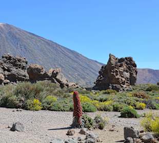 Teide