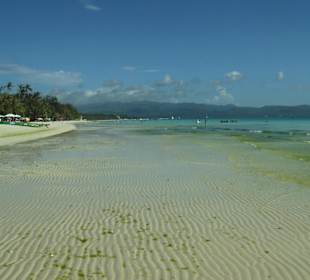 White Beach ist nicht so weiß, grüne Algen
