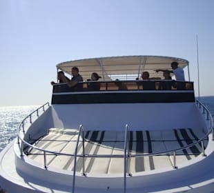 Sim-Sim Delphin Tour