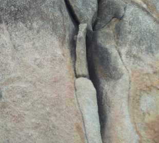 Hin Ta Omafelsen