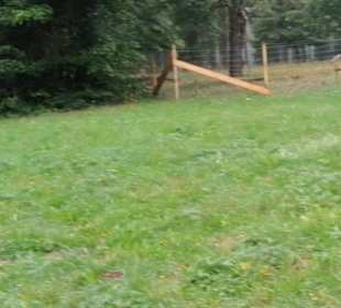 Eninger Weide
