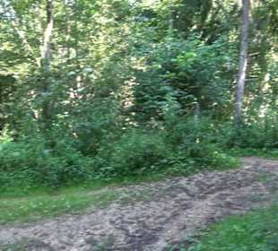 Premiumwanderweg "hochgesprudelt"
