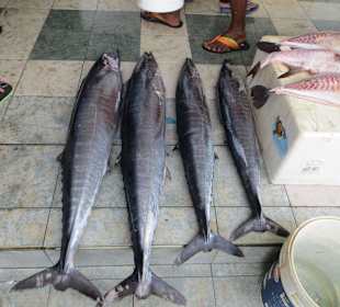 Unterwegs im einheimischen Markt 