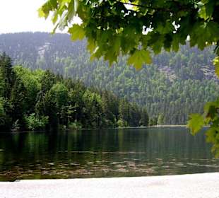 Grosser Arbersee