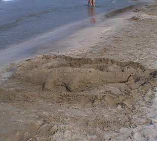 Strand Tiermotiv