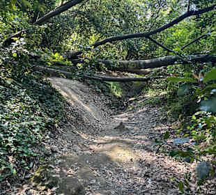 Wandern Agios Georgios