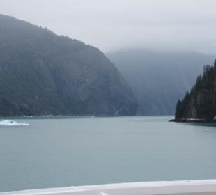 MS Zaandam befährt den Tracy Arm Fjord