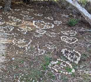 Wandern Cala Ratjada