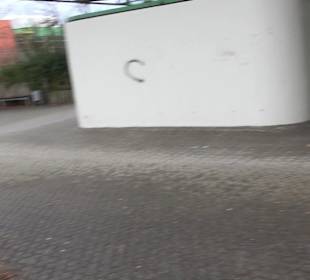 Sporthalle Wittum