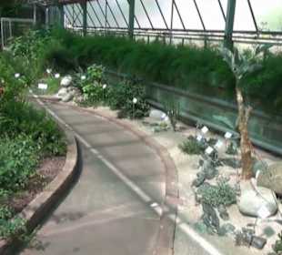 Afrikanische Landschaften