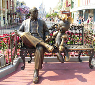Disney's Magic Kingdom Orlando