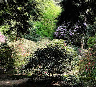 Impressionen vom Rundweg durch den Park
