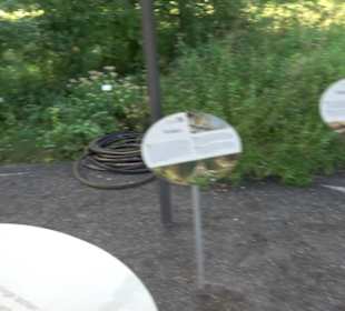 Botanischer Garten München