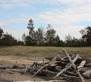 Treibholz vor Whitefish Point