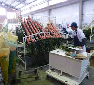 Hier wird nach Leistung sortiert und verpackt