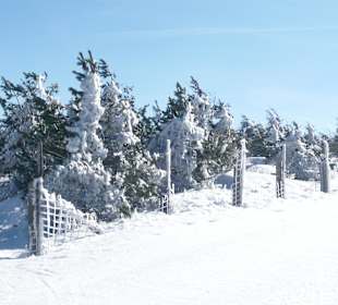 Natur pur am Fichtelberg/ März 2012