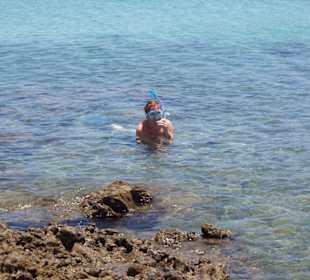 Schnorcheln vor dem Nautilus Beach