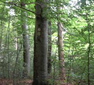 Hochgeträumt Premiumwanderung