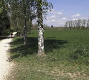 Wanderweg Hochgehwachsen
