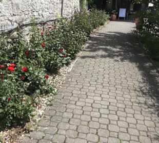 Schlosscafé im Rosengarten