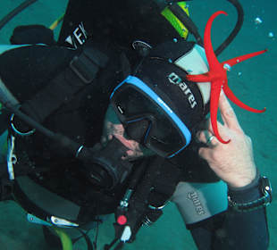 Diversión asegurada