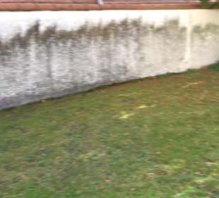 Friedhof Steingebronn