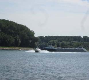 Am Rhein in Germersheim