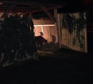 Weihnachtsmarkt Thurn und Taxis