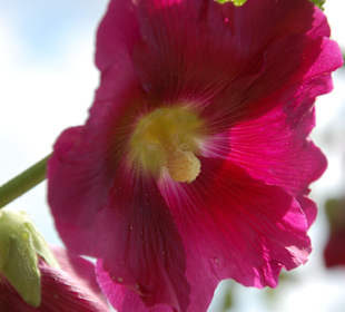 Muzeum Wsi Lubelskiej