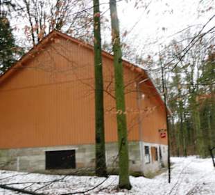 Mitte Dezember 2010 zu Gast