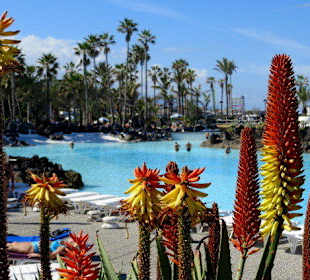 Blick über einen seichten Pool