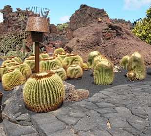 Jardin de Cactus