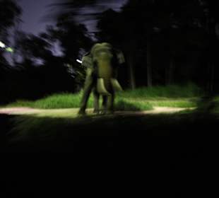 Elefant bei Nacht