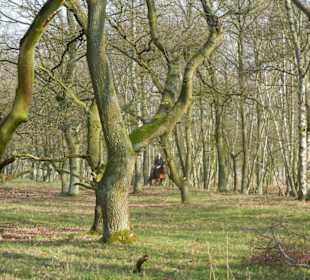 Wunderschöne Boberger Niederung